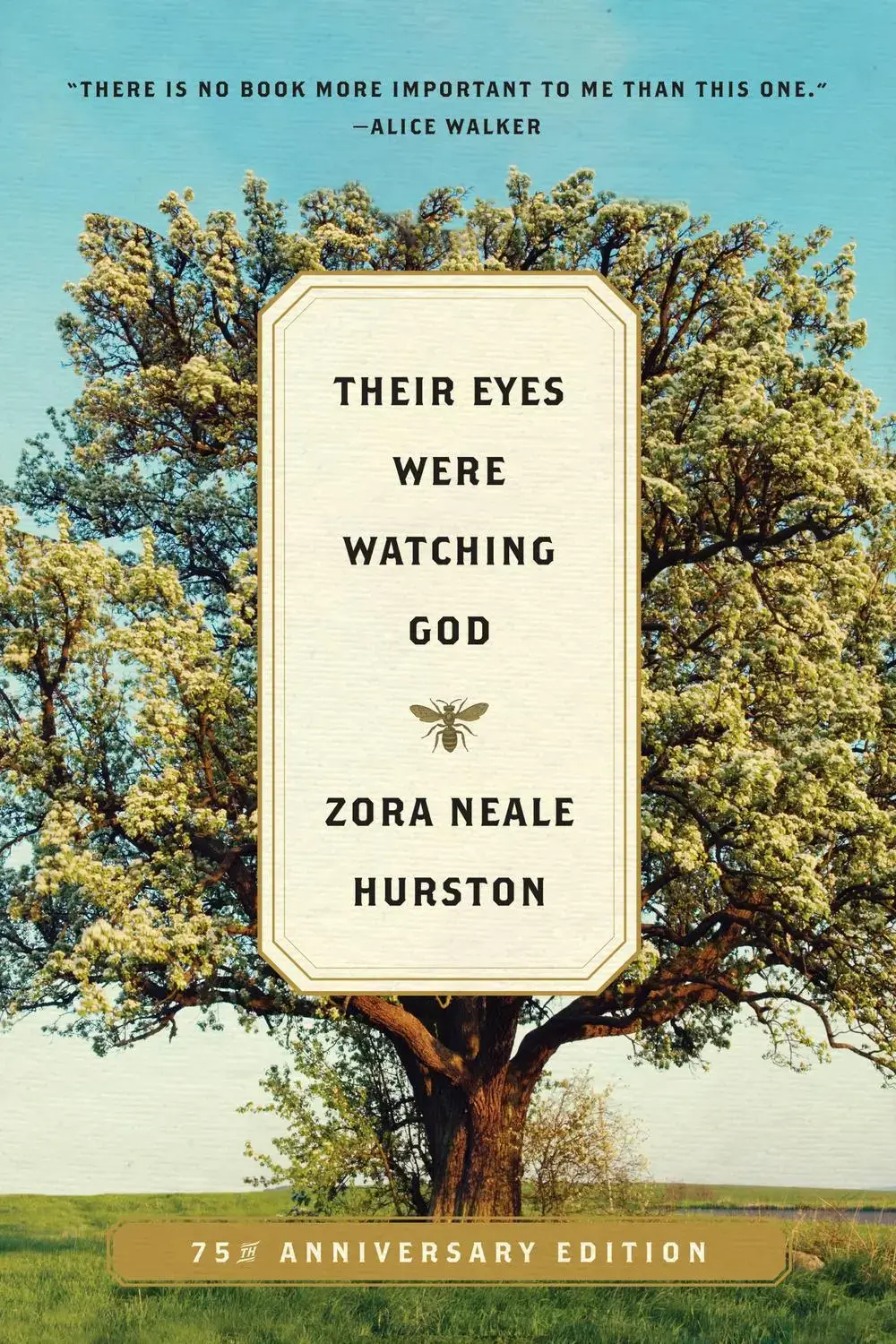 Their Eyes Were Watching God PDF by Zora Neale Hurston eBook